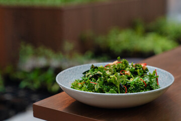 Fresh Kale Salad with Vegetables in Ceramic Bowl
