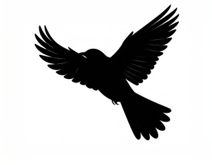 Obraz premium Black Silhouette of a Bird in Flight