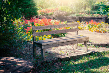 午後の光に照らされる公園のベンチ