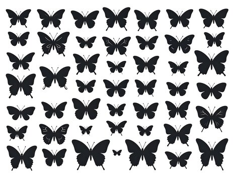 Black silhouettes of various butterfly shapes