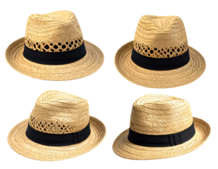 Firefly_Set of Photograph of a traditional round straw gardening hat, side view on transparen