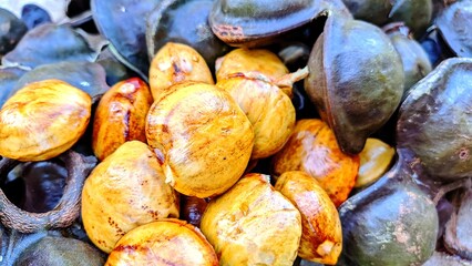Detailed photo of raw jengkol fruit with peeled seeds and unopened pods. Jengkol, also called dogfruit, is an edible seed widely consumed in local dishes across Southeast Asia