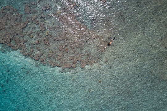 Male snorkeler floating above coral reef in turquoise water wearing mask tube fins, copy space