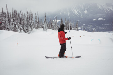 Man standing on ski slope holding ski poles and wearing skis backed by snow-covered evergreen trees