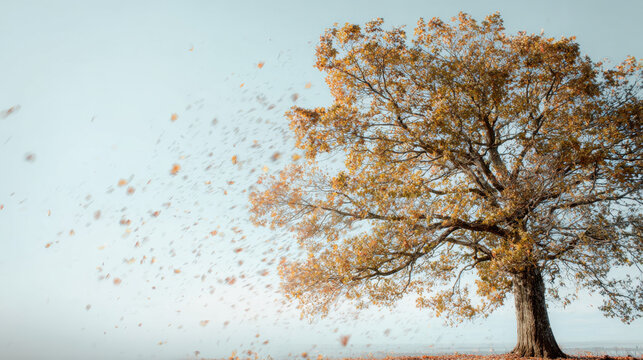 Golden autumn tree swaying in the gentle breeze with colorful leaves swirling in the air against a blue sky reflecting the beauty of a serene nature landscape.