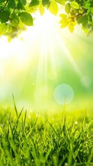 Fototapeta premium Sunlit grass glistens under green leaves, with bright sunbeams piercing through. Soft, blurred background adds to the ethereal feeling