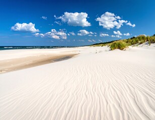 Pristine white sand beach under a vibrant blue sky