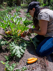 Woman Working in a Vegetable Garden with Fresh Produce