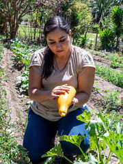 Woman Working in a Vegetable Garden with Fresh Produce