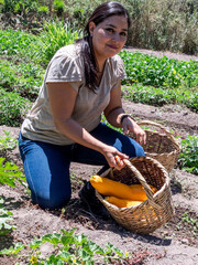 Woman Working in a Vegetable Garden with Fresh Produce