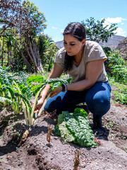 Woman Working in a Vegetable Garden with Fresh Produce