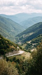 Mountain road winding through lush landscape