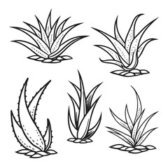 Collection of five hand drawn black and white aloe vera plants in a simple illustrative style on a white background