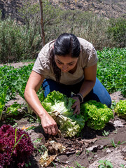 Woman Working in a Vegetable Garden with Fresh Produce