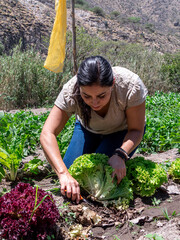 Woman Working in a Vegetable Garden with Fresh Produce