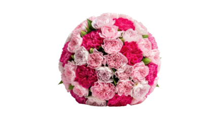Bouquet of light and dark pink carnations on white background