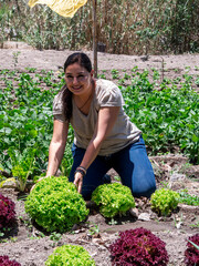 Woman Working in a Vegetable Garden with Fresh Produce