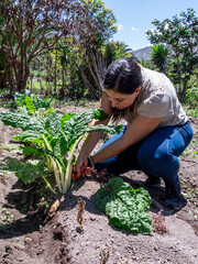 Woman Working in a Vegetable Garden with Fresh Produce