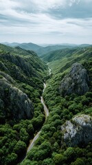 Mountain road winding through lush forest