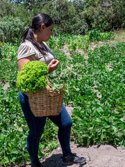 Woman Working in a Vegetable Garden with Fresh Produce