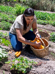 Woman Working in a Vegetable Garden with Fresh Produce