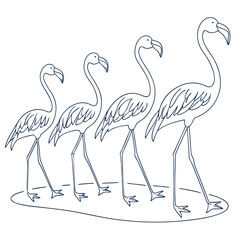 A line of four stylized flamingos in varying sizes walking in unison with clean dark blue outlines on a white background