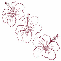 Three stylized hibiscus flowers with dark red outlines on a white background arranged diagonally perfect for summer or tropical designs