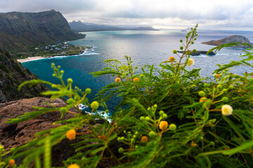 View from Makapuʻu Lookout, Oahu, Hawaii, with rugged cliffs, Pacific Ocean, offshore islands, and...