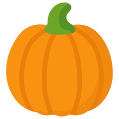 Small round pumpkin illustration, perfect for fall decoration, farm fresh design, healthy vegetable recipe, and Thanksgiving concept.
