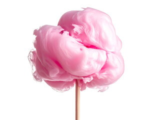 Pink fluffy cotton candy on a stick