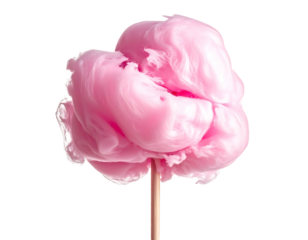 Pink fluffy cotton candy on a stick