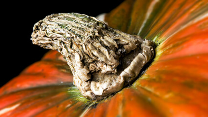 Pumpkins and other decorative items for Halloween and Day of the Dead festivities with red and orange LED lights