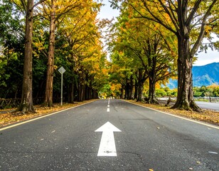Autumnal avenue lined with vibrant trees
