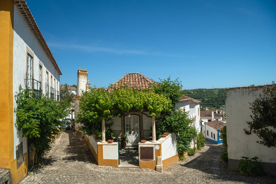 Cobblestone Street and Vine-Covered House in &Oacute;bidos, Portugal