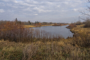A Cloudy, Cool Autumn Day at Pylypow Wetlands