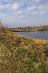 A Cloudy, Cool Autumn Day at Pylypow Wetlands