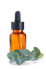 Bottle of eucalyptus essential oil on white background, closeup