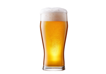 glass of beer Isolated on Transparent or White Background
