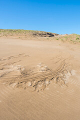 夏の鳥取砂丘の風景 鳥取県 鳥取砂丘