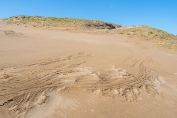 夏の鳥取砂丘の風景 鳥取県 鳥取砂丘