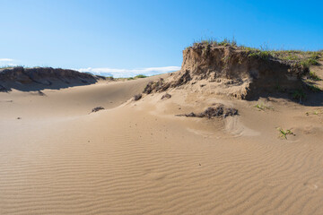 夏の鳥取砂丘の風景 鳥取県 鳥取砂丘