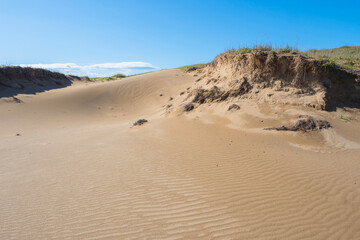 夏の鳥取砂丘の風景 鳥取県 鳥取砂丘