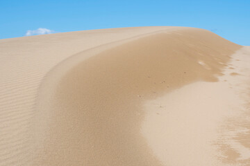 夏の鳥取砂丘の風景 鳥取県 鳥取砂丘