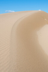夏の鳥取砂丘の風景 鳥取県 鳥取砂丘