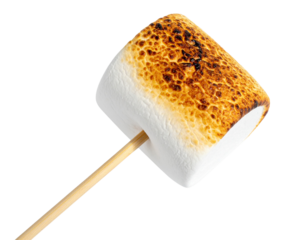 
Ultra-detailed 8K PNG of a single toasted marshmallow on a clean wooden skewer, isola 496124