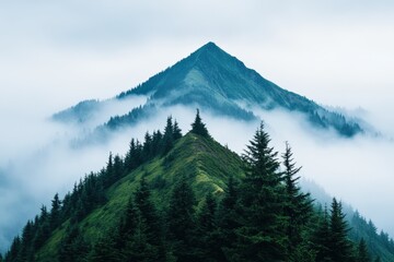 Obraz premium Foggy mountain peaks emerging from a cloud inversion, with steep green slopes covered in dense evergreen forest