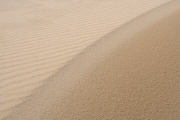 夏の鳥取砂丘とその紋様 鳥取県 鳥取砂丘
