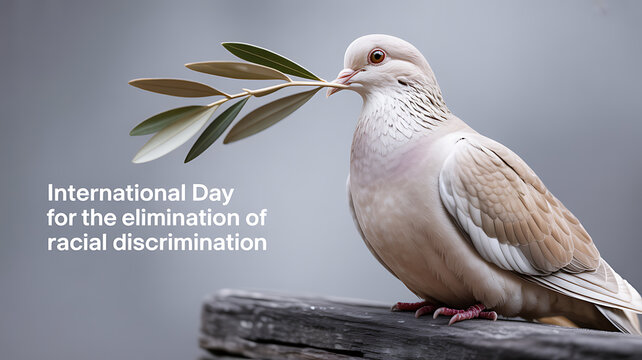A dove holding an olive branch, symbolizing peace, with text referencing the International Day for the Elimination of Racial Discrimination.