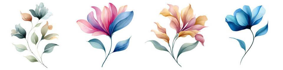Watercolor Floral Illustrations Set - Various Colorful Flowers Isolated