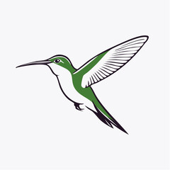 Obraz premium Serene Monochromatic Line Art Hummingbird Minimalist Vector Illustration